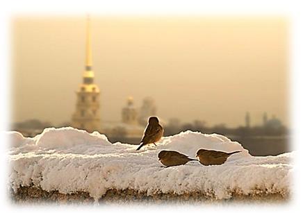 Туры в Санкт Петербург